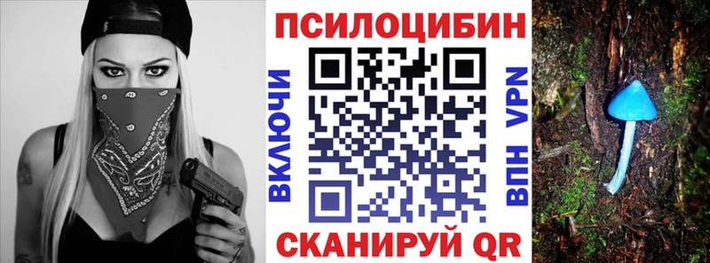 shop состав mega как зайти Алупка Псилоцибиновые грибы GOLDEN TEACHER